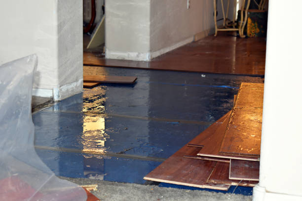 Professional Flood Damage Repair technician working in Luebbering, MO